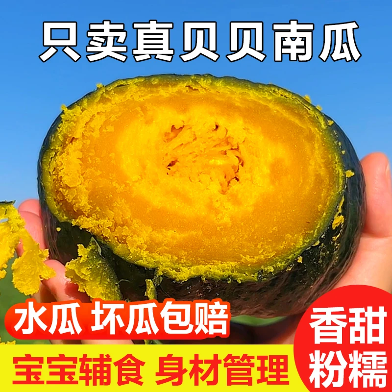 山东沙地贝贝南瓜2/1斤 自然种植健康粗粮口感好吃原产地农场发货