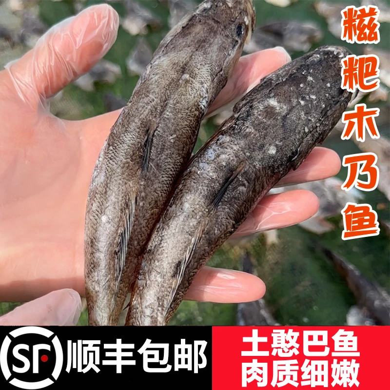 顺丰包邮糍粑木乃鱼土憨巴沙塘澧呆子鱼虎头鱼湖北特产淡水鱼350g