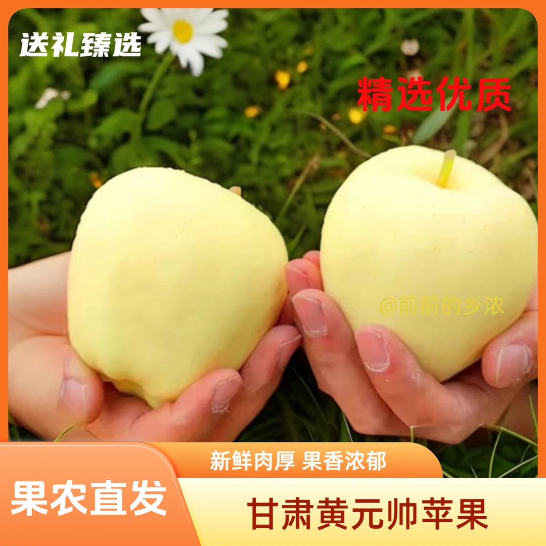 【送礼臻选】甘肃老品种黄元帅新鲜肉厚果香独特高山种植黄金帅
