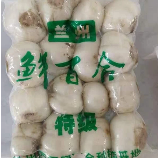 金福百合兰州食用鲜百合小四头甜百合南瓜百合煲专用百合兰州特产