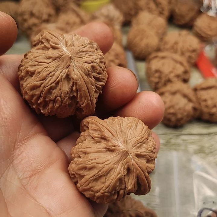 文玩核桃把件36的全品磨盘