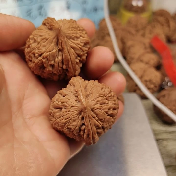 文玩核桃把件38的全品水龙纹