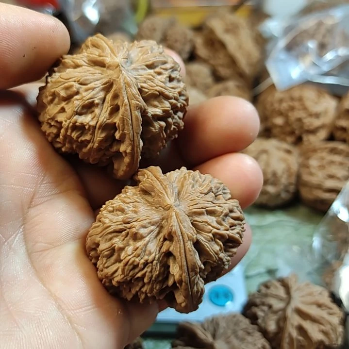 文玩核桃把件38的全品白狮子