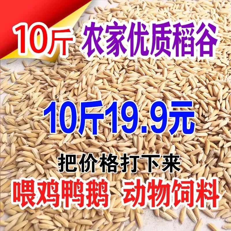 10斤带壳稻谷谷子水稻稻子粮食杂粮大米喂鸡鸭鹅鸽鸟仓鼠宠物饲料