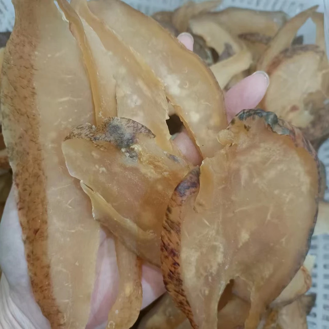 螺片碎 海螺干 特产干货 煲汤 250克/500克 珠海发货