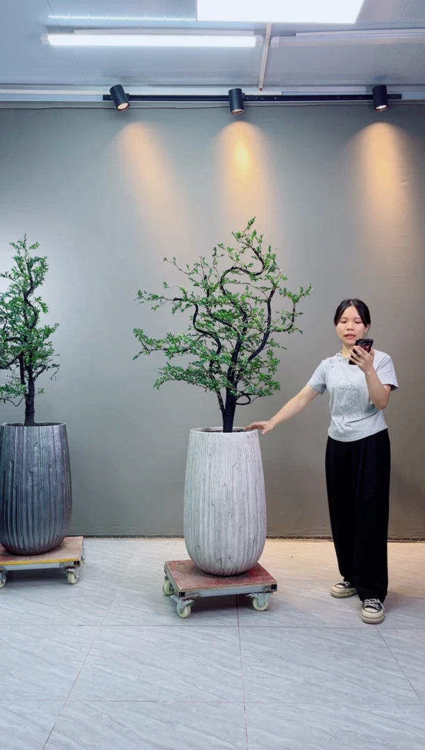 【闪购商品】广东小叶紫檀黑骨茶