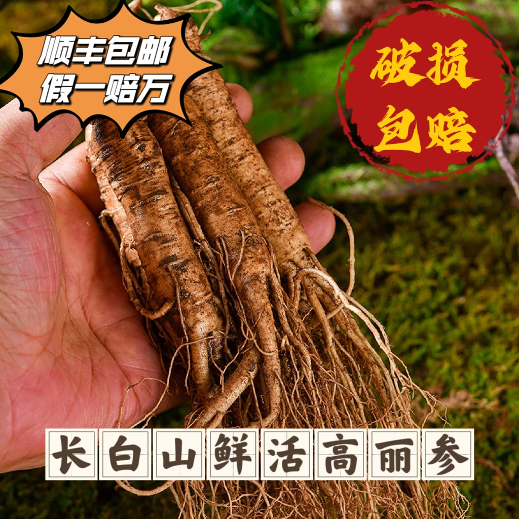 【改价链接】长白山新鲜鲜活人参参人参泡酒专用自然包