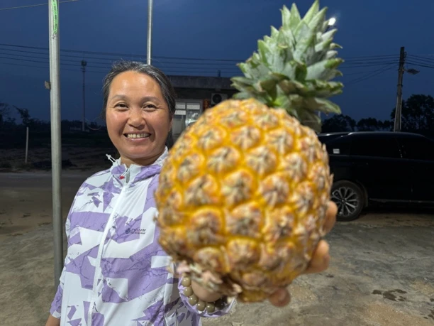 海南芒果凤梨净重5斤包邮