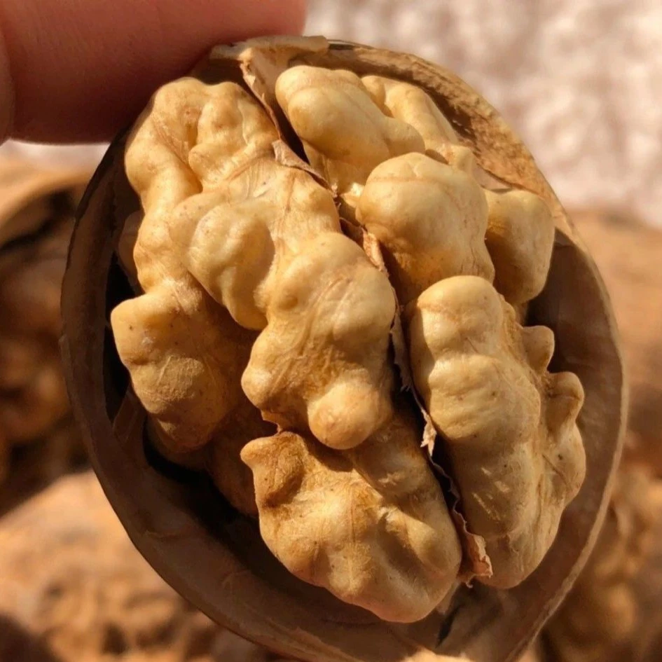 新疆185纸皮核桃净重5斤包邮