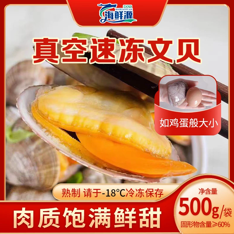 熟冻大文贝3斤500g/袋肥美优质海鲜丹东东港