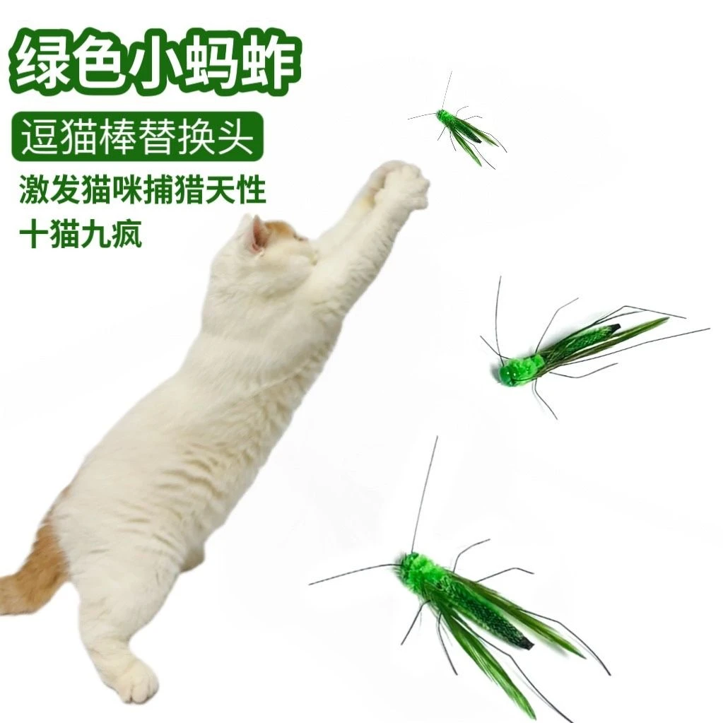 猫咪玩具仿真昆虫蚂蚱逗猫棒替换头羽毛小飞虫逗猫棒头替换装新款