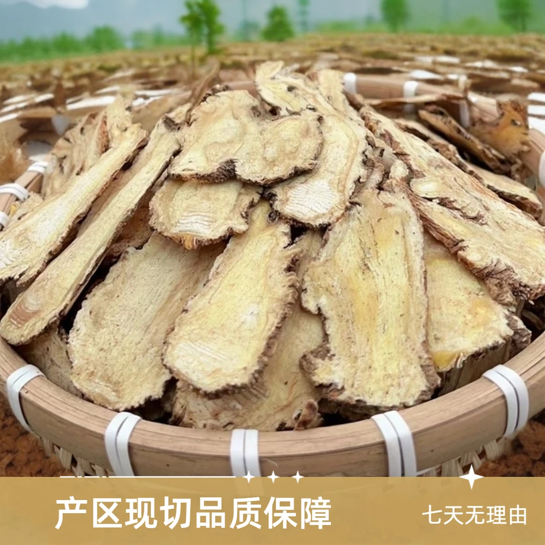 正宗当归纯头片甘肃岷县产地直发无硫熏搭配黄芪党参泡水