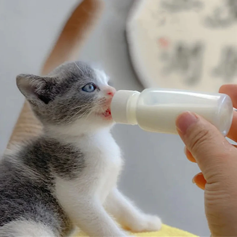 【宠大条】宠物奶瓶宠物硅胶奶瓶猫狗奶瓶小号奶嘴宠物