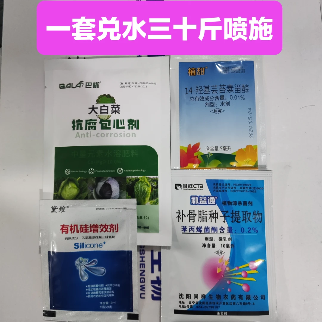 大白菜卷心菜防腐包心剂技术方案一套兑水30斤喷施包菜甘蓝菜通用