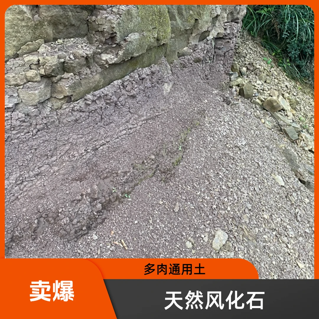 贵州天然风化石金弹子兰花多肉生根营养土酸性风化土渗水石颗粒