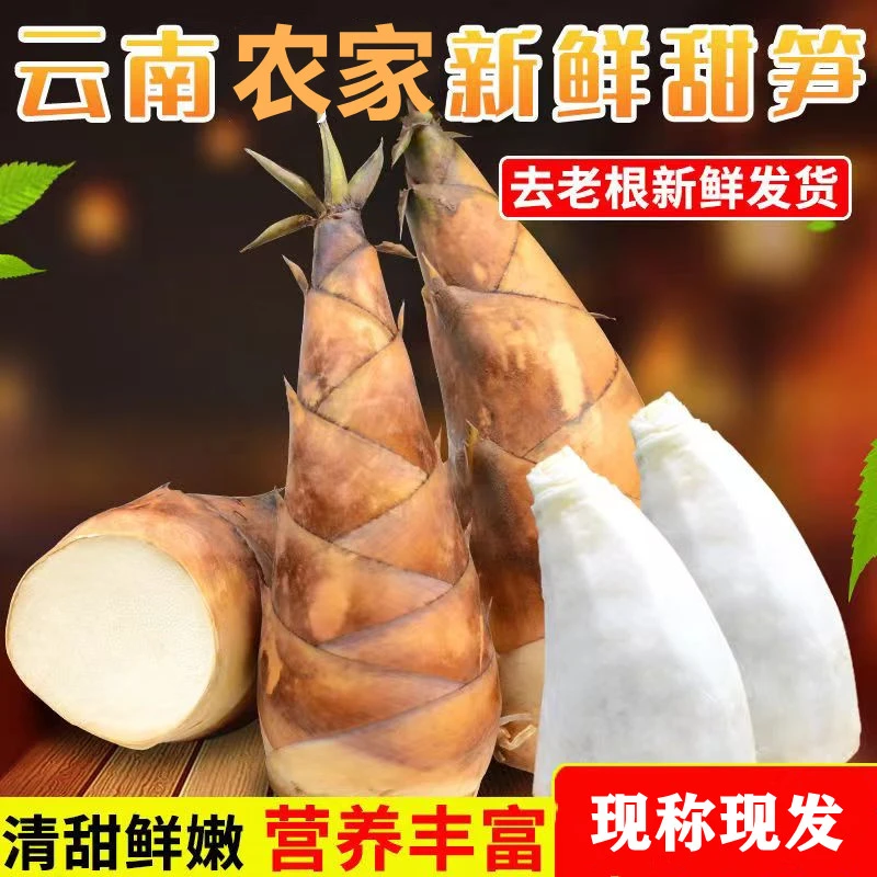 新鲜现挖现发云南农家生吃甜竹笋水果笋甜龙竹笋基地冷链云南甜笋