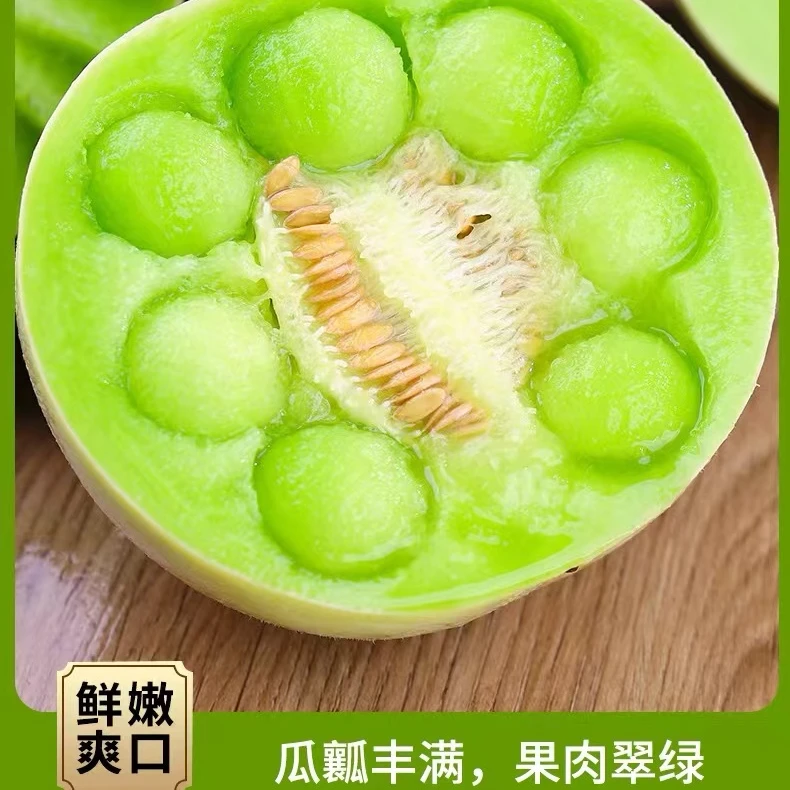 山东聊城冰淇淋玉菇甜瓜4.5-9斤软糯香甜 果香浓郁 新鲜 产地直发