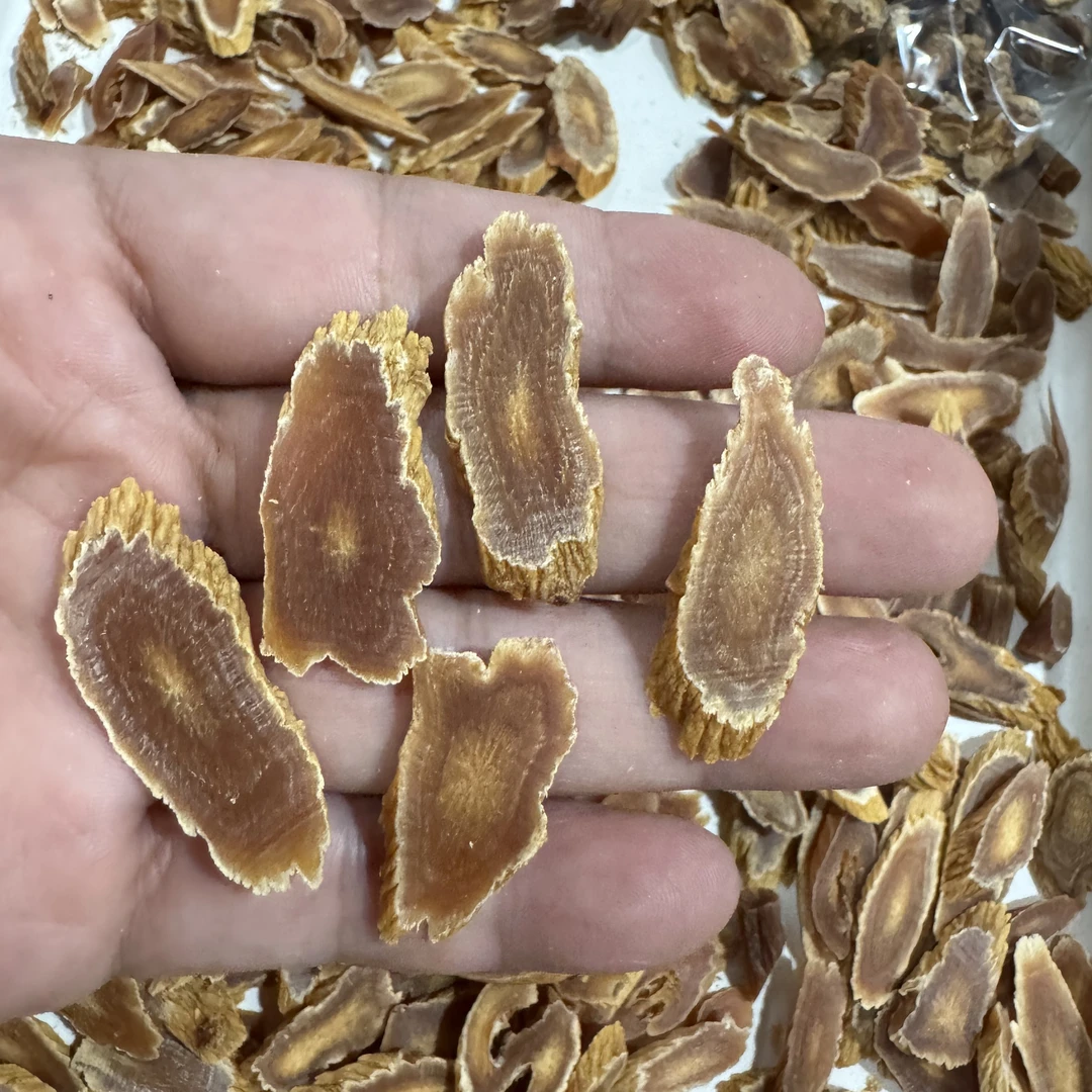 原枝高丽参整支切片