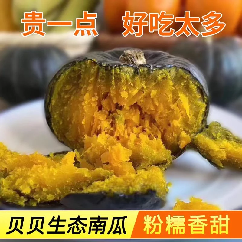 内蒙古沙地贝贝瓜南瓜婴儿辅食软糯粉甜贝贝南瓜板栗南瓜农产品