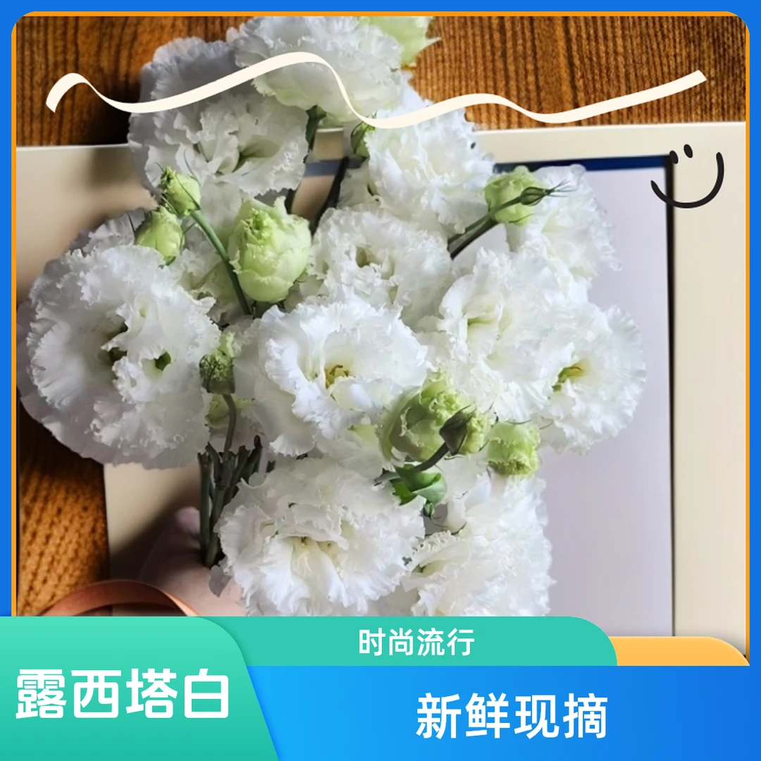 【露西塔白色洋桔梗】：直播间专属，全场任意两单起发