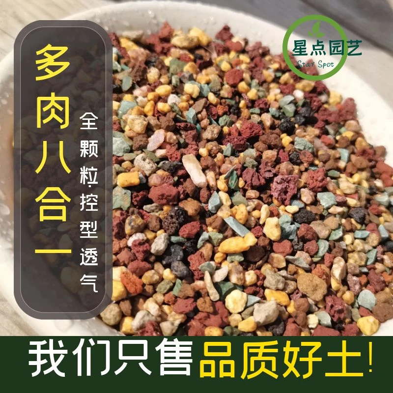 景天十二卷仙人球多肉全颗粒进口营养配方土上色控型预防烂根防虫