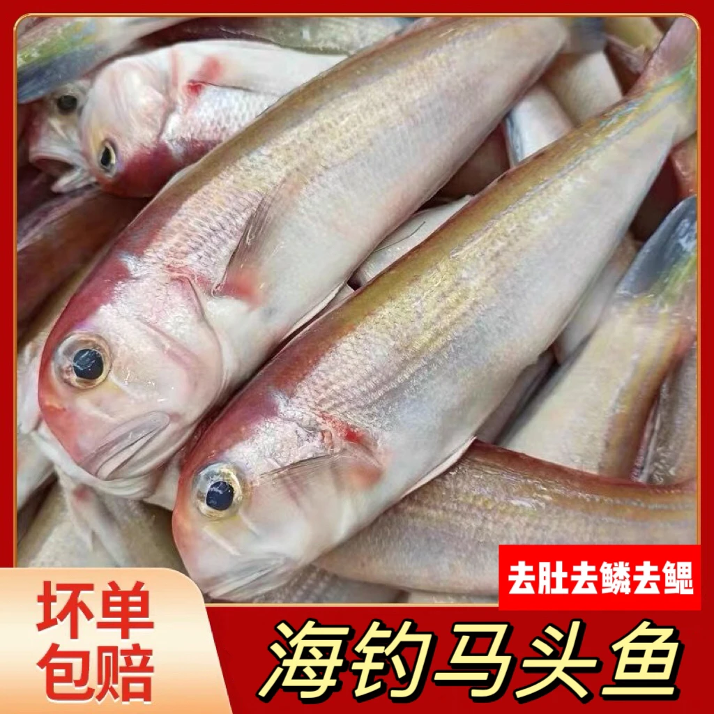 海钓马头鱼 方头鱼 青根鱼去内脏发货 2-3条净重400g/包(3包装)