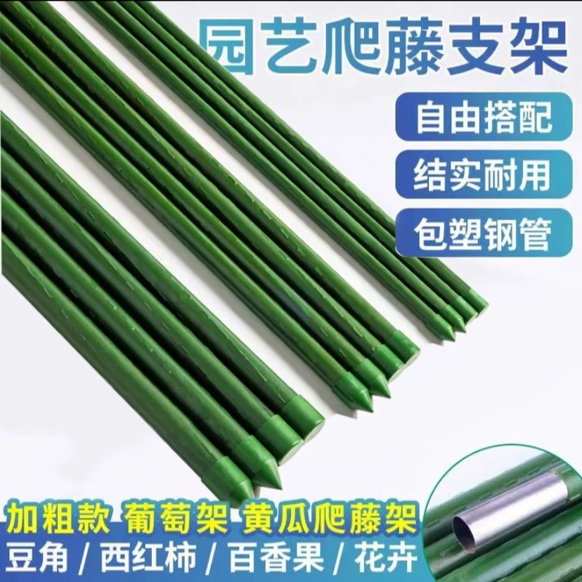 黄瓜架葡萄番茄西红柿家用爬藤支架杆子包塑月季杆子植物种菜架子