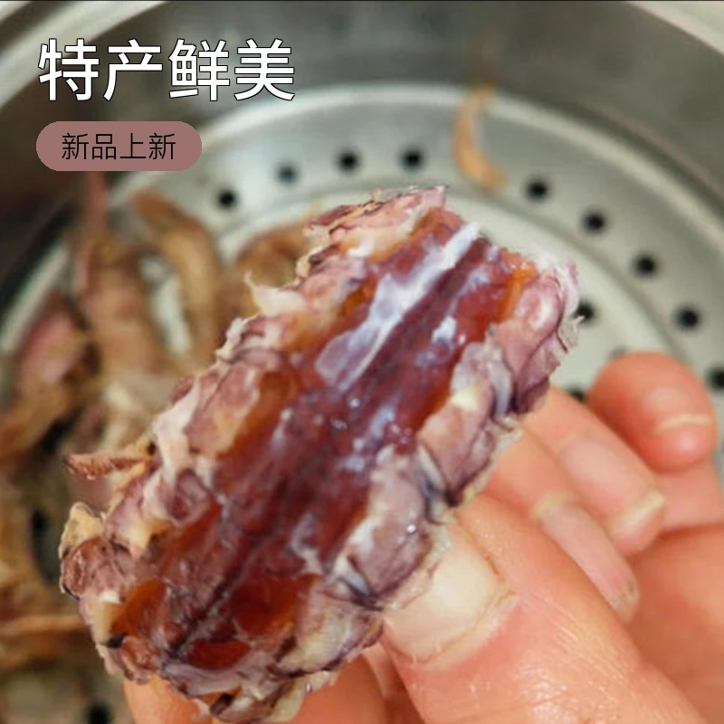 东港市特产鲜活野生全母皮皮虾虾爬子肉质紧致包邮2斤
