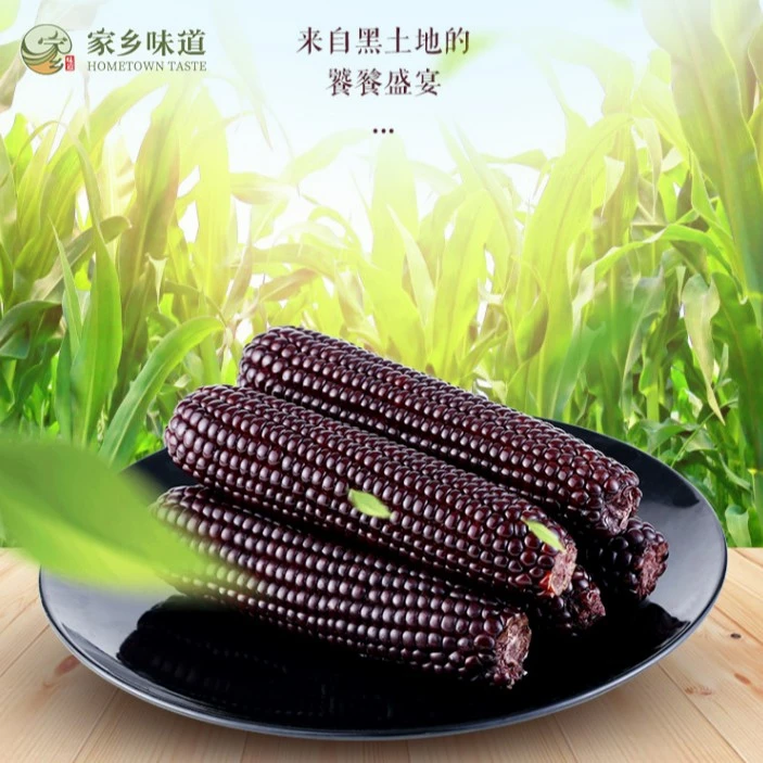 黏黏穗穗山西忻州农家黑糯玉米真空包装220g/根