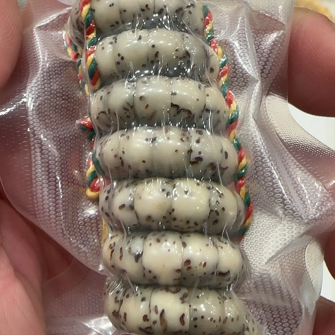 星月菩提吊坠手串大肠