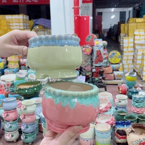 红陶20CM以下正品