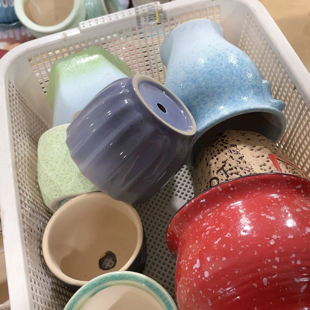 【闪购商品】红陶15cm以下