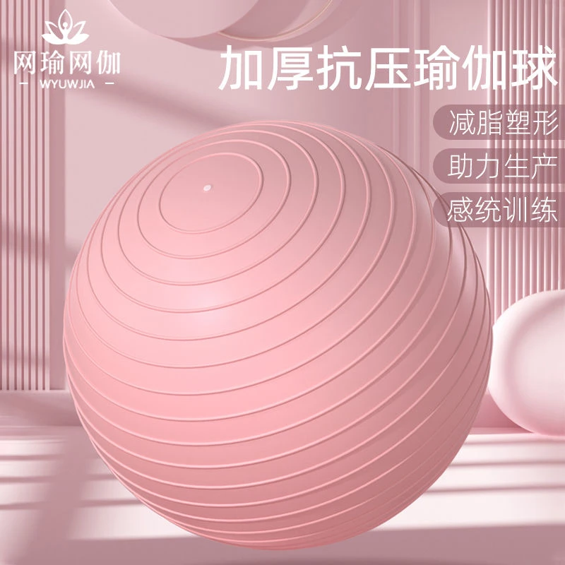 瑜伽球加厚防爆塑形健身球儿童感统训练平衡球孕妇助产分娩运动球
