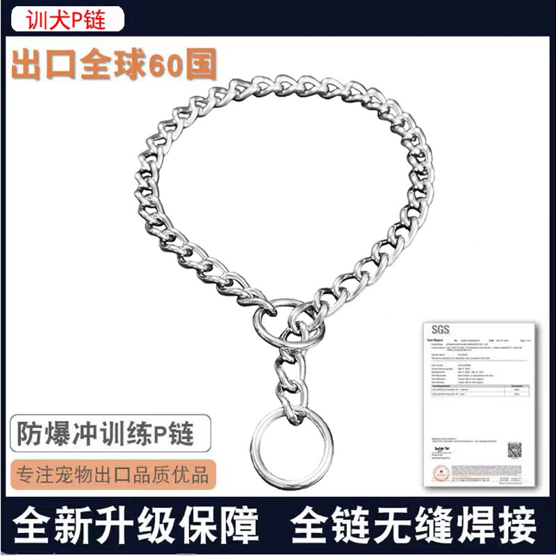 宠物项圈 训犬P链项圈