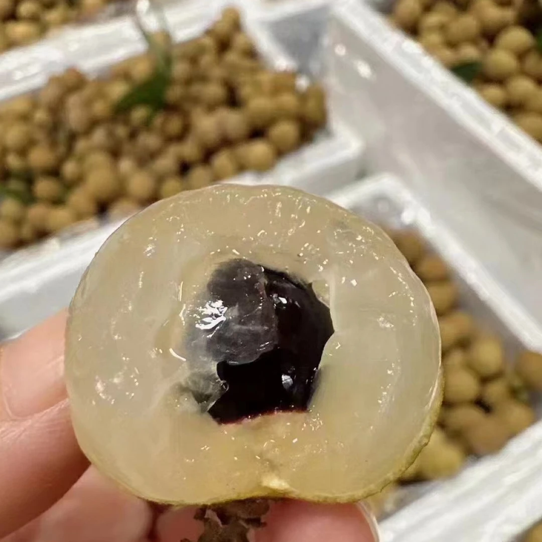 高州老树储良龙眼厚脆肉甜度高特产精选新鲜