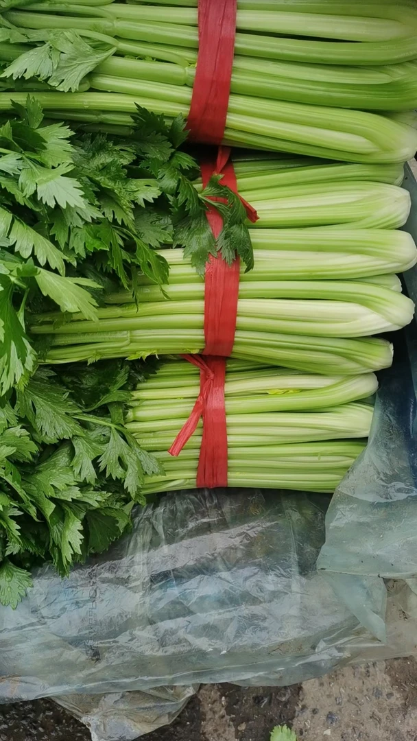 本地大棚芹菜-京东送到家