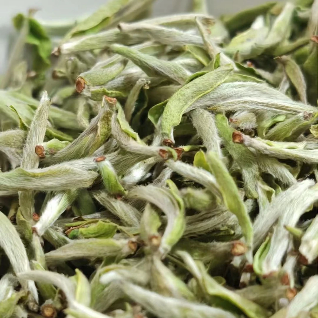 2024新茶白毫银针 | 福鼎白茶明前头采特级银针 | 毫香鲜甜鲜爽