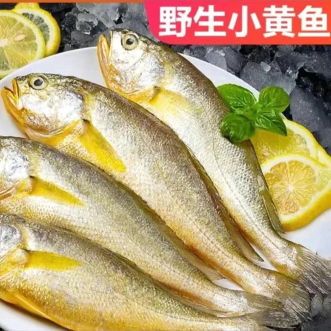 野生海捕小黄鱼10条左右每斤连云港顺丰京东冷链 黄花鱼清蒸香煎