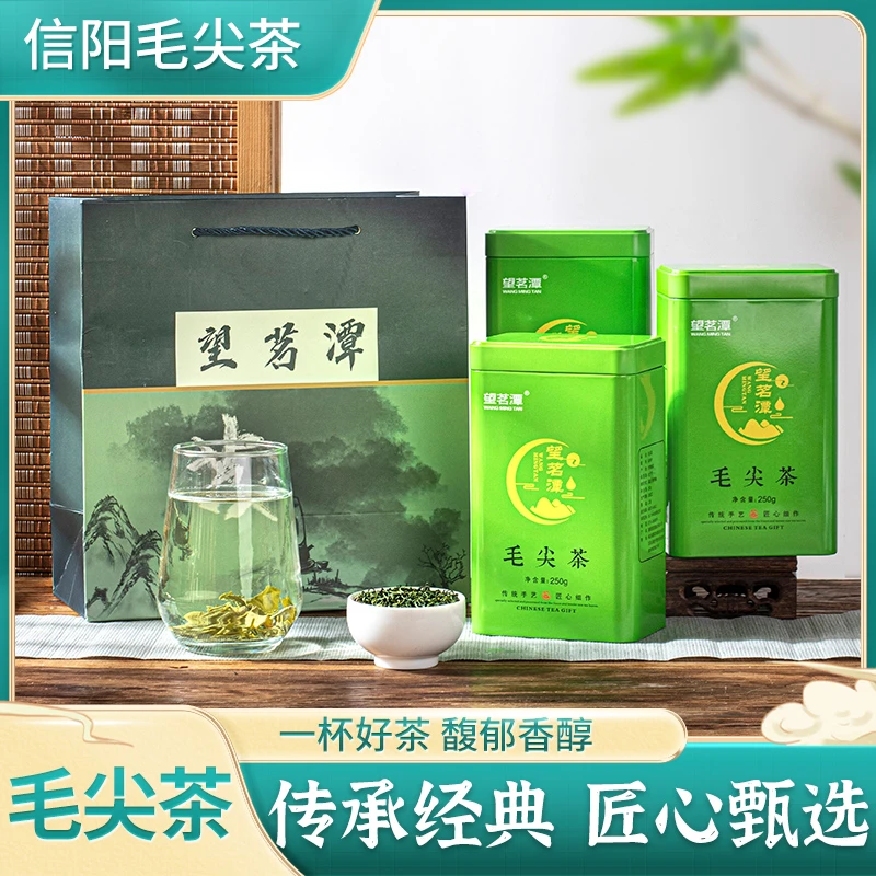 2024年春茶信阳毛尖绿茶手工工艺口感醇厚浓香耐泡口粮手工毛尖茶