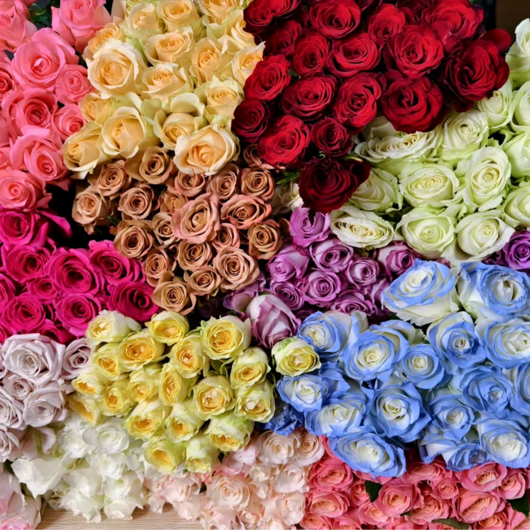 【鲜切花】顺丰/邮政 玫瑰泡泡百合向日葵康乃馨鲜花鲜切花