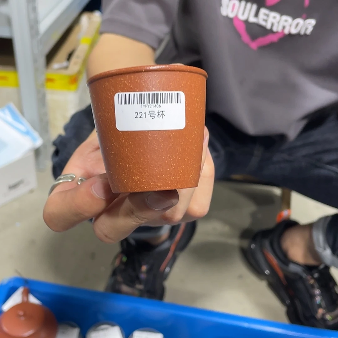 【闪购商品】紫砂茶壶