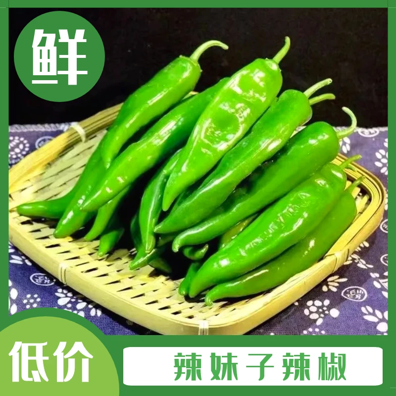 【新鲜辣椒】现摘辣妹子辣椒青辣椒皮薄绿尖椒小辣椒1/2/3/4/5斤
