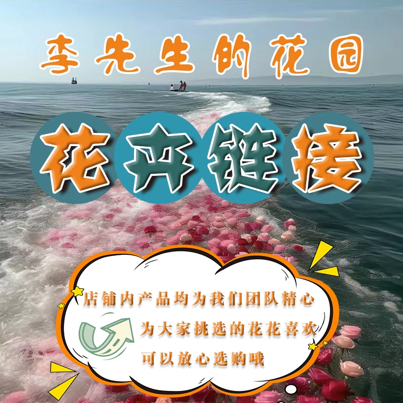 【李先生】绿植花卉链接各种品类