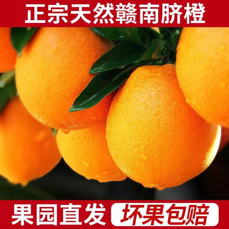 赣南脐橙江西赣州正宗橙子赣南早熟脐橙新鲜水果应季水果产地直发