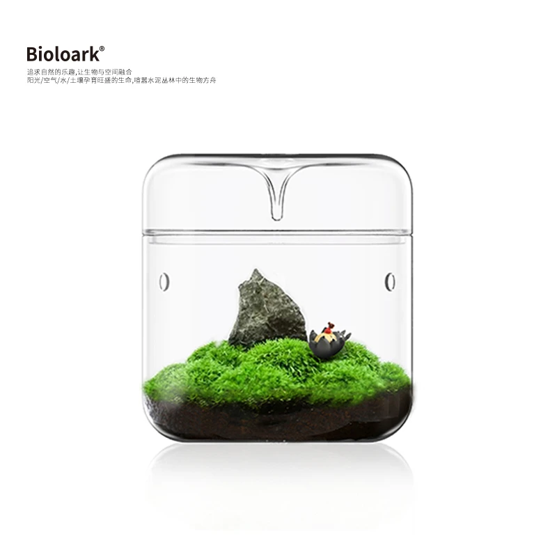 【Bioloark】[露集杯] 苔藓创意家居摆件DIY微景观高硼硅玻璃瓶