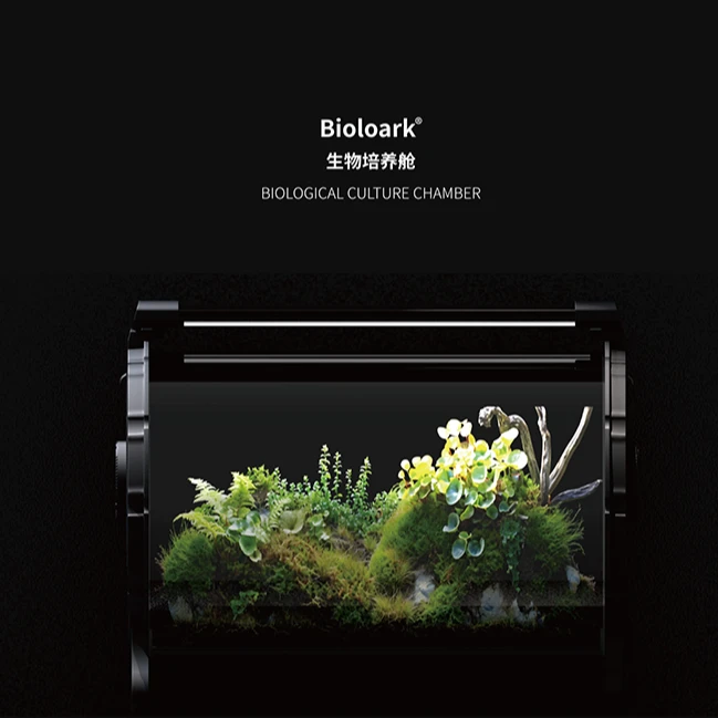 【Bioloark】[生物培养舱]微景观桌面摆件高硼硅玻璃桌面水景
