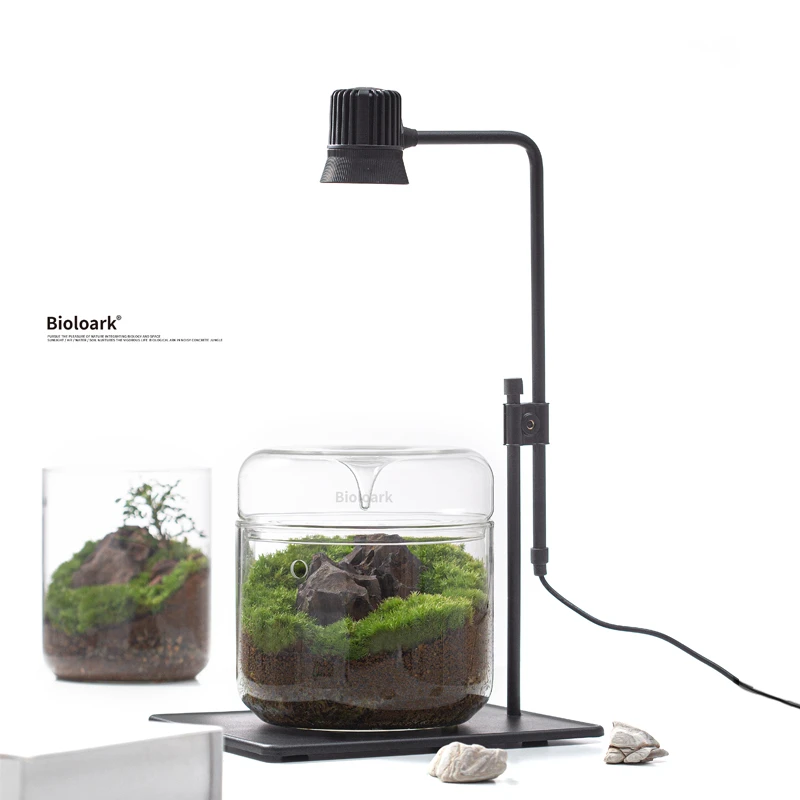 【Bioloark】[5瓦板灯]可调节灯苔藓微景观照明可放卧室客厅