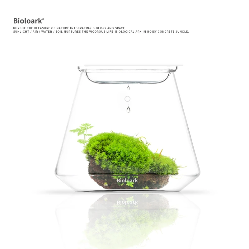Bioloark生物方舟可爱泡泡杯苔藓瓶微景观桌面摆件玻高硼生态瓶
