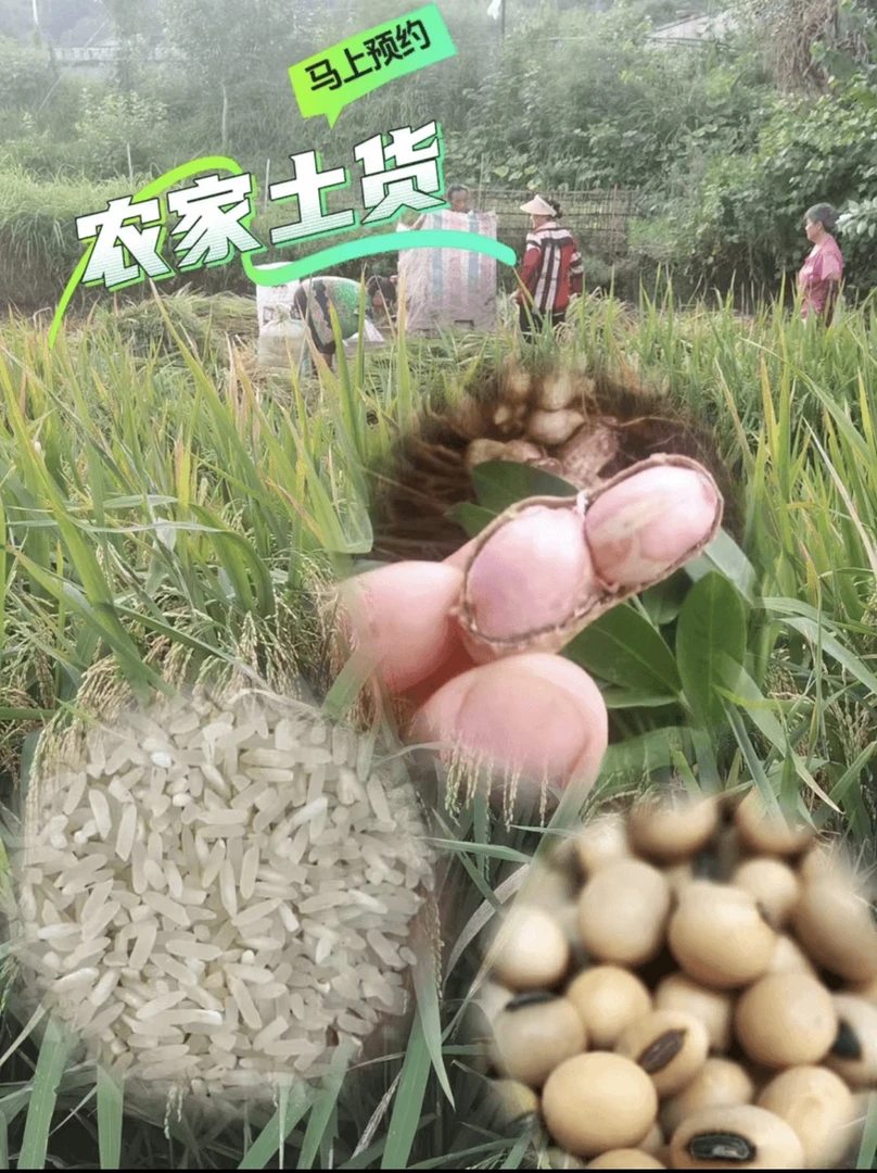 农村自种，当季、应季农产品 农副产品，农家风味美食