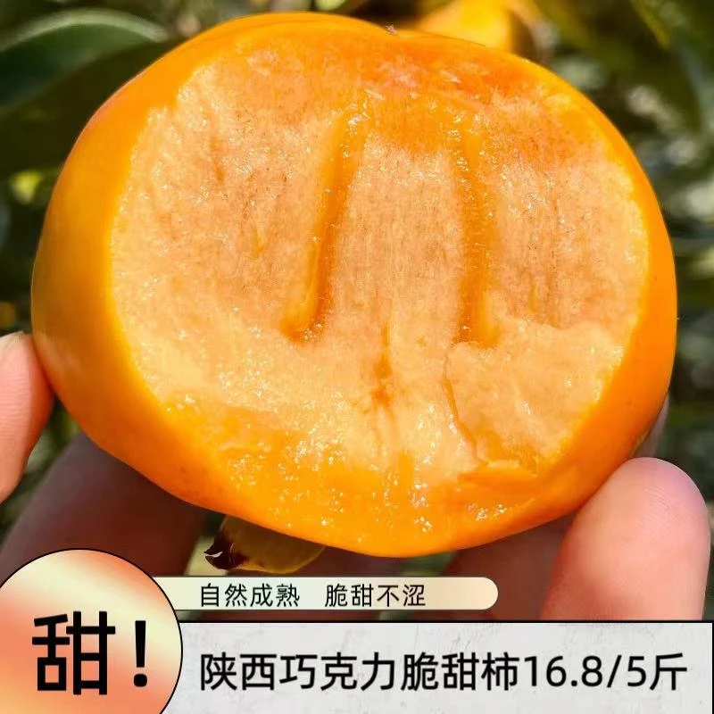 陕西脆甜柿净重5斤现摘现发包邮巧克力脆甜柿子应季水果削皮